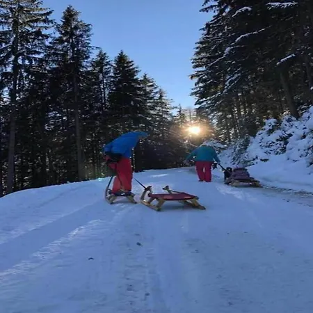 In Zillertal Near Slopes, Cleaning Included *